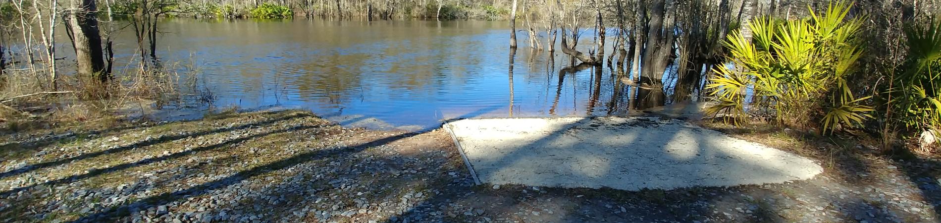 Great Satilla Preserve